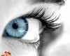 satishwaghmare55@gmail.com