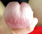 bigcock8403