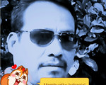stephen72