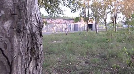 Insatiable girl wearing a microskirt flashing her cunt in public
