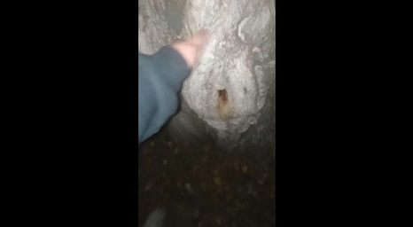 Peyton rudy indulges in public orgy with a cool cunny in the forest